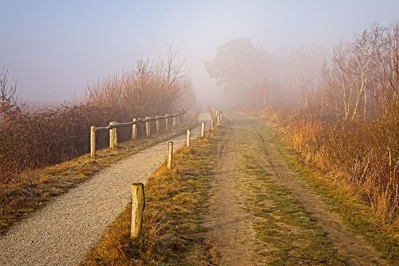 Groote Peel National Park von Rob Boon