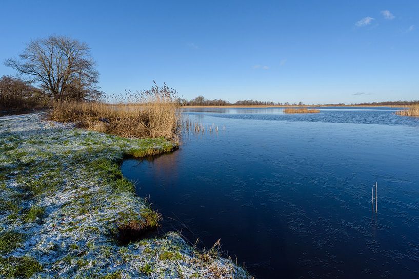 Lacs d'Ankeveen en hiver, Ankeveen, Wijdemeren, Pays-Bas par Martin Stevens