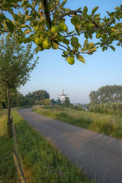 Mühle Der Schmetterling mit Apfelbaum von Moetwil en van Dijk - Fotografie