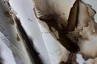 Die vergangene Universität