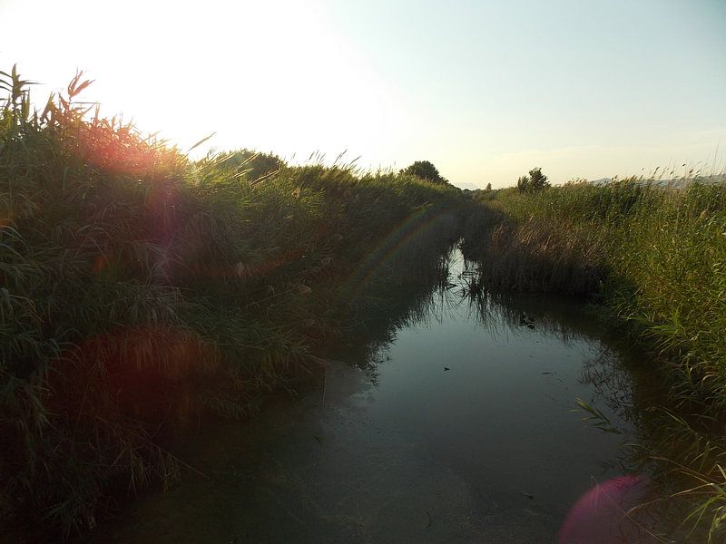 Barcelona by Cassandra Kreitz Narvaez