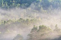 Un matin brumeux à Preikestolen