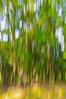 abstract in de natuur