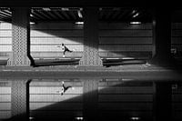 Pushing forward, Amsterdam