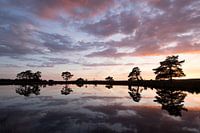 Coucher de soleil sur le Dwingelderveld, Pays-Bas