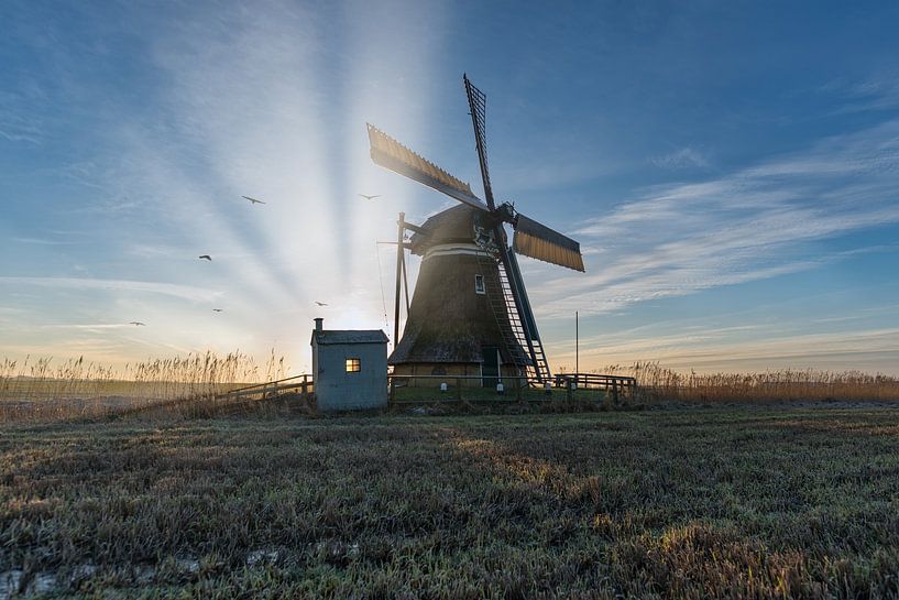 Sonnenaufgang in Kimswerd von Sidney Portier