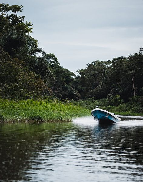 Excursion en bateau à Tortuguero - Découverte du labyrinthe vert par Rick Massar