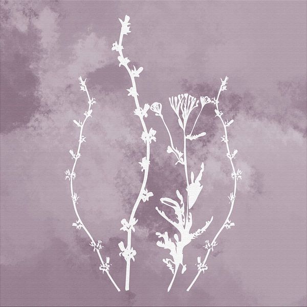 Nuvole di Prato. Abstrait Botanique Minimaliste en argent mauve violet par Dina Dankers
