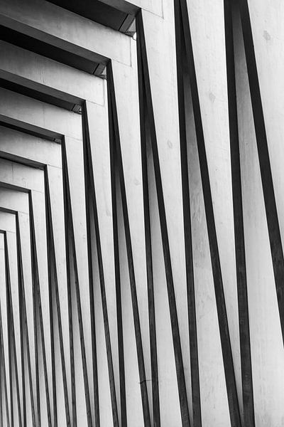 Line play by Michael Roubos