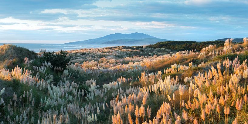Waikato von Rainer Mirau