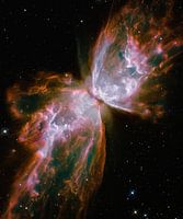 Hubble Spies un Papillon