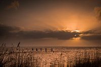 Sonnenaufgang im Wattenmeer, Nordholland