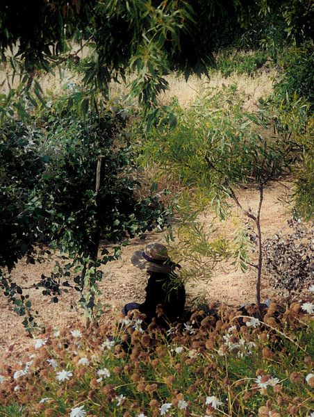 Vieille femme portugaise. par Ineke de Rijk