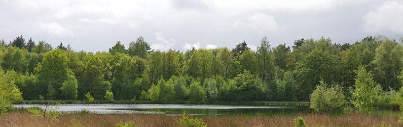 Ven on the estate the Vossenberg. by Wim vd Neut