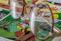 Kinderbril op stripblad van Willy Wortel