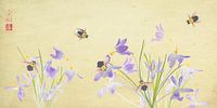 Crocuses and bumblebees