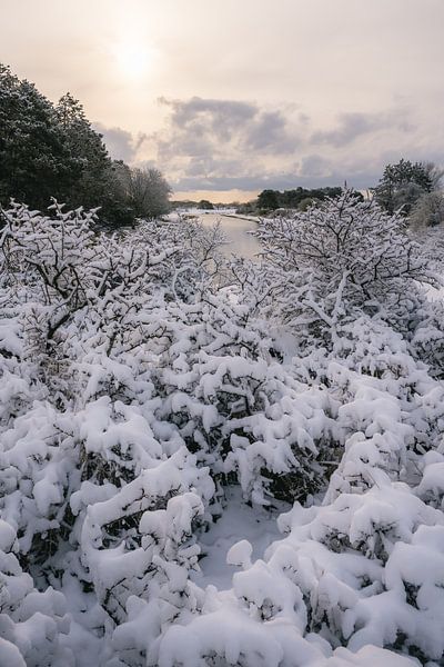 Schneelandschaft in den Dünen von Südholland von Jolanda Aalbers