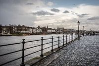 Maastricht Steißbein