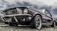 Ford Mustang, The Beast