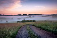Odenwald landscape in morning fog