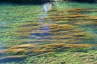 mystisches Wasser kunstvoll