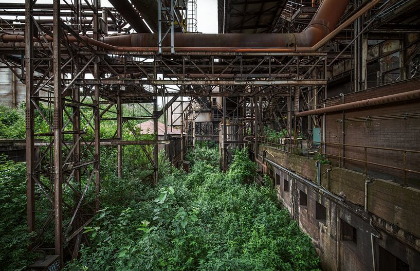 Rust and green by Joren Mus