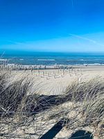 Strand von Petten