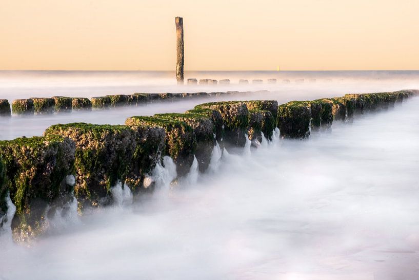 Cadzand von Lisa Dumon