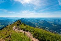 Wanderweg vom Hochgrat Richtung  Bodensee