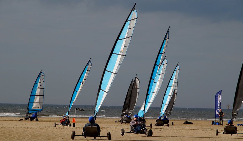 blowkarten von Frenz' van de Grift