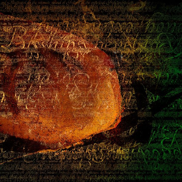 Roseschelle: Kissmess 02 [digital abstract art, black, brown] by Nelson Guerreiro