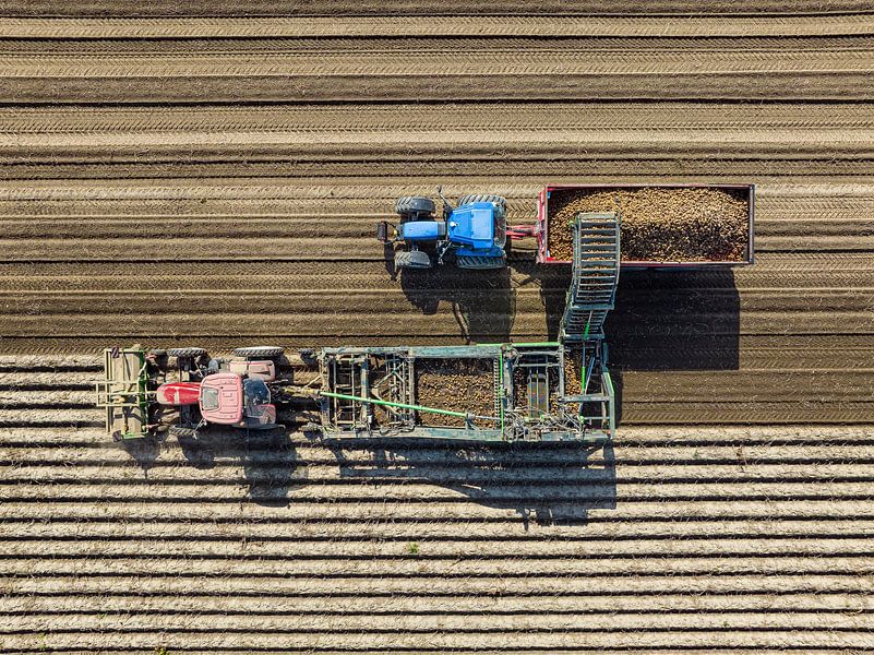 Tractors harvesting potatoes in a field seen from above by Sjoerd van der Wal Photography