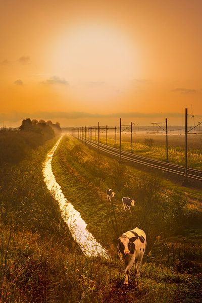 En piste par Hannie Kassenaar
