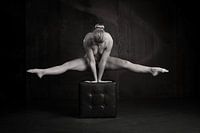 De Gestrekte Gratie: Ballerina op het Podium van de Stilte