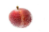 Prune rouge dans l'eau