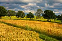 Landscape near Chemnitz