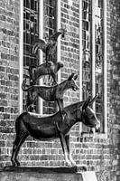 Les Musiciens de Brême à Brême - monochrome