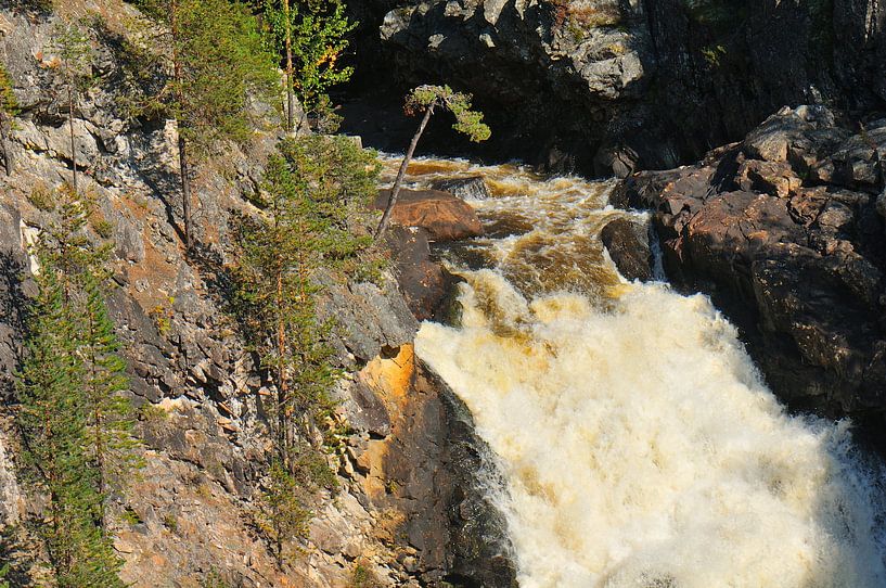 Muddus National Park by Karin Jähne