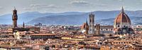 Florence panorama