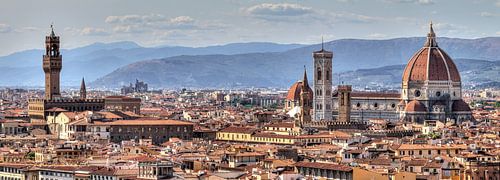 Florenz Panorama von Dennis van de Water