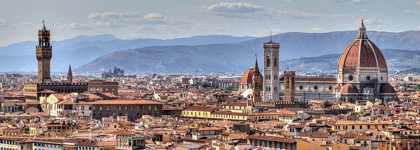 Florenz Panorama von Dennis van de Water
