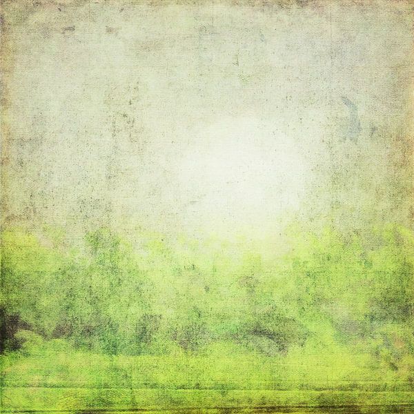 Matin brumeux - Paysage abstrait par Western Exposure