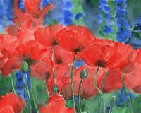 Red poppies with blue delphinium flowers watercolour painting