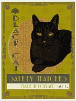 Chat noir Boîte d'allumettes Made in Holland