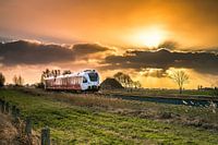 Trein in de avond zon