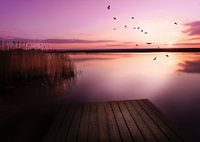 Colors of the North 4