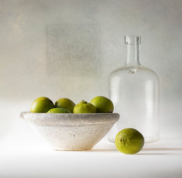 still life 101 by jejaka art