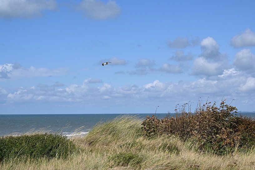 Sun sea beach by Albert Rap