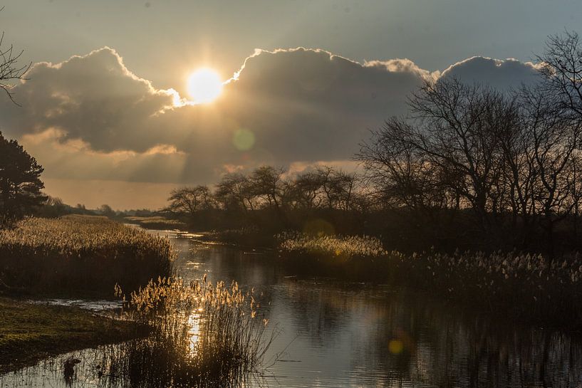 Landschap by Carla Eekels