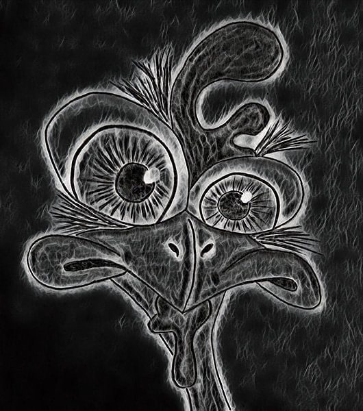 Surpris par le poulet par Jose Lok